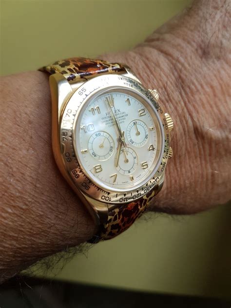 rolex daytona oro cinturino coccodrillo